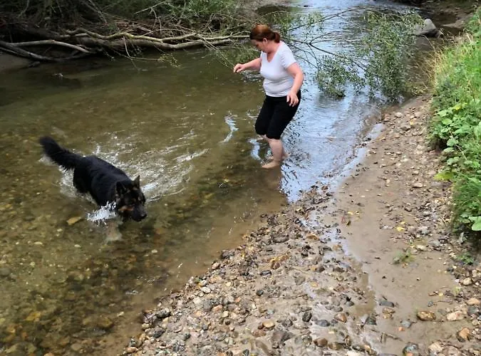 Gabi Haus Pacher Sankt Peter am Kammersberg