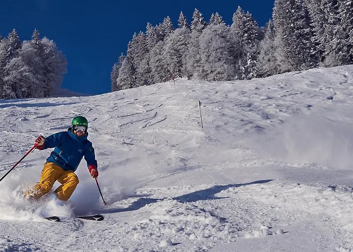 Apartmán Gabi Haus Pacher *