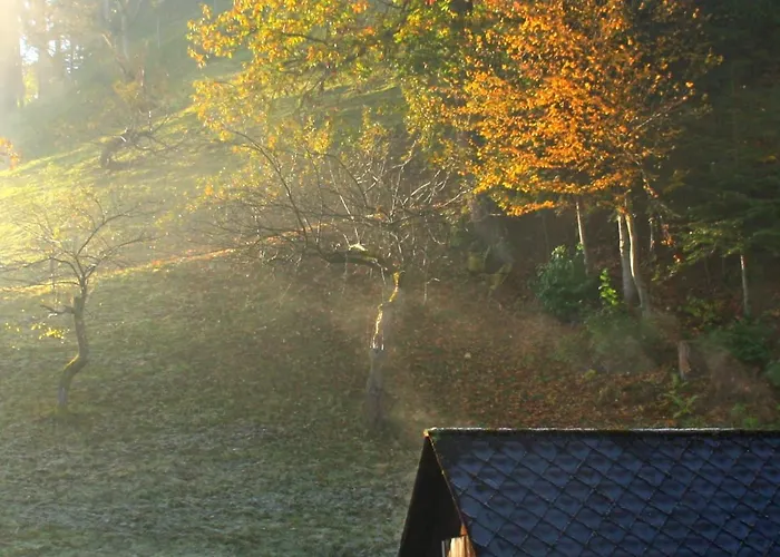 Gabi Haus Pacher Sankt Peter am Kammersberg
