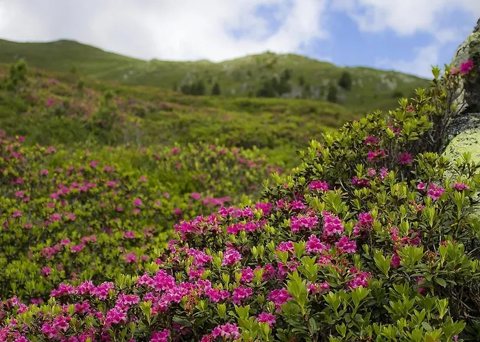 Gabi Haus Pacher Apartmán